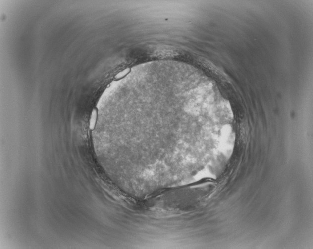 X0000058130517200510212049