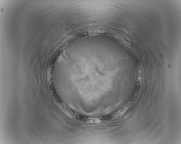 X0000058130519200510212049