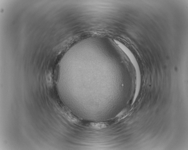 X0000058130520200510212049