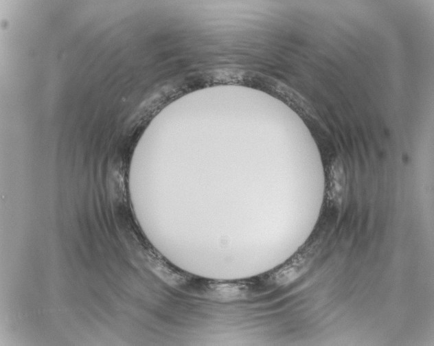 X0000058130522200510212049