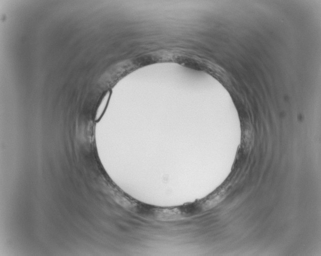 X0000058130525200510212049