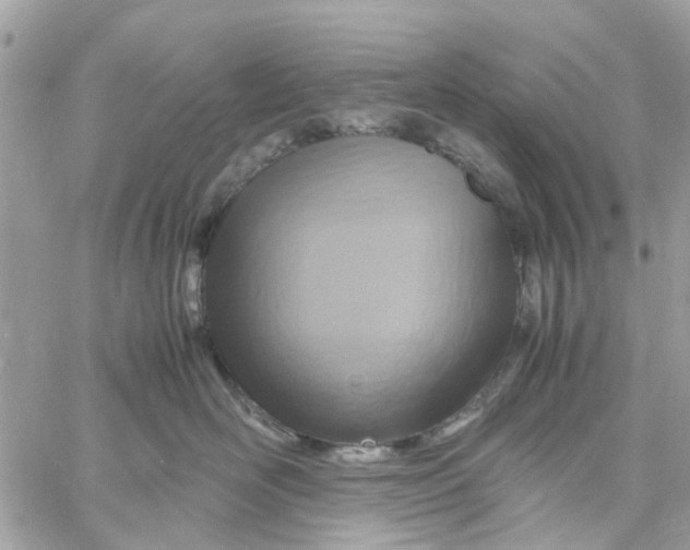 X0000058130526200510212049