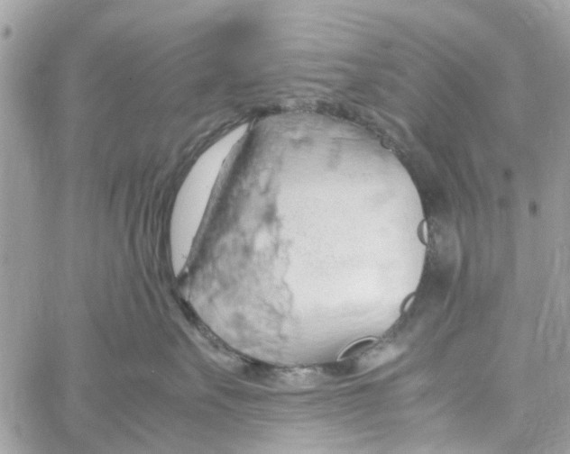 X0000058130527200510212049