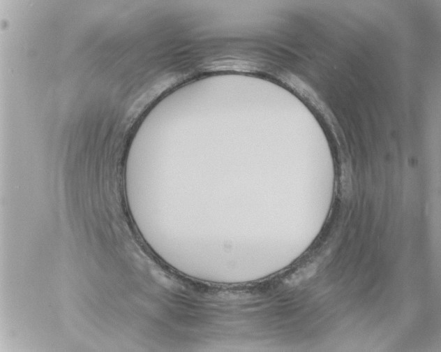 X0000058130529200510212048