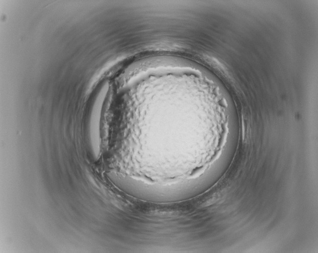 X0000058130531200510212048