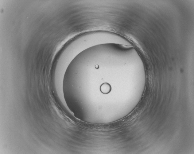 X0000058130532200510212048