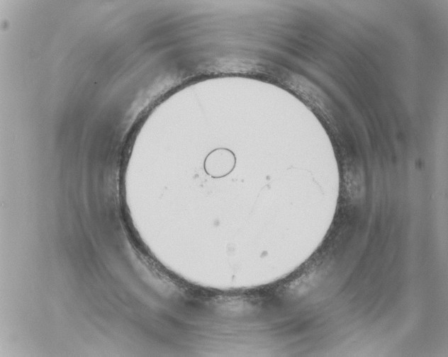 X0000058130534200510212048