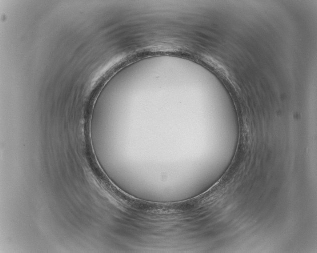 X0000058130535200510212048