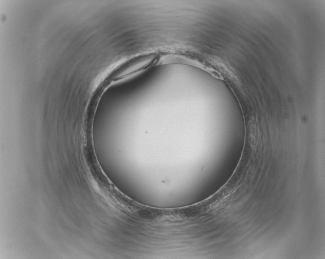 X0000058130536200510212048