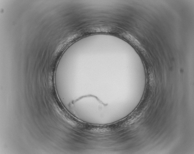 X0000058130537200510212048