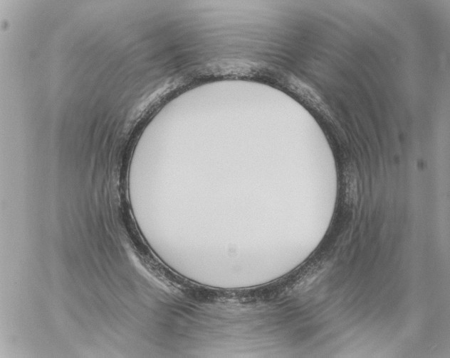 X0000058130538200510212048