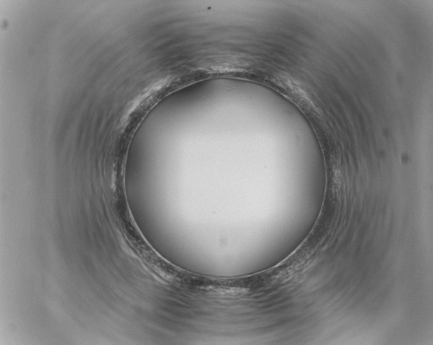 X0000058130539200510212048