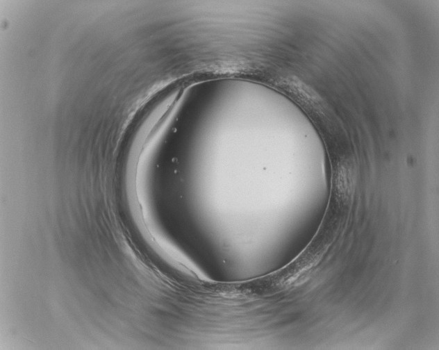 X0000058130540200510212048