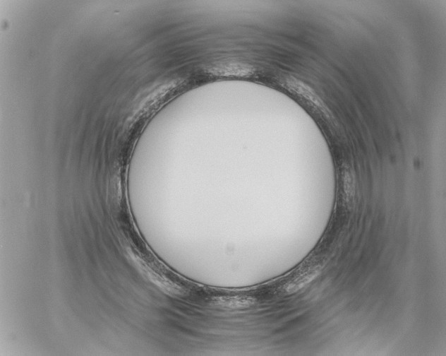 X0000058130541200510212048