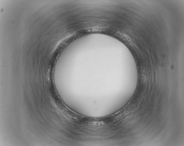 X0000058130543200510212048