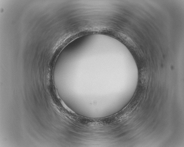 X0000058130544200510212048