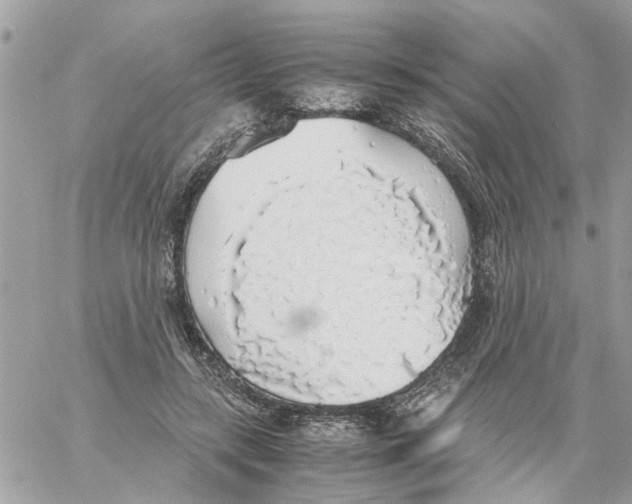 X0000058130547200510212048