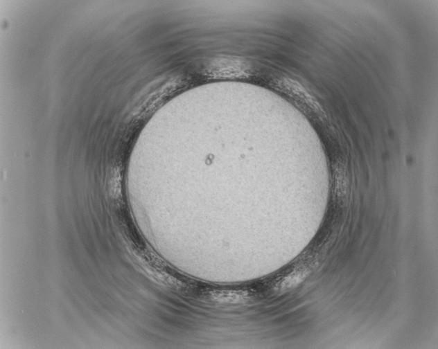 X0000058130549200510212048