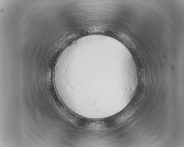 X0000058130550200510212048