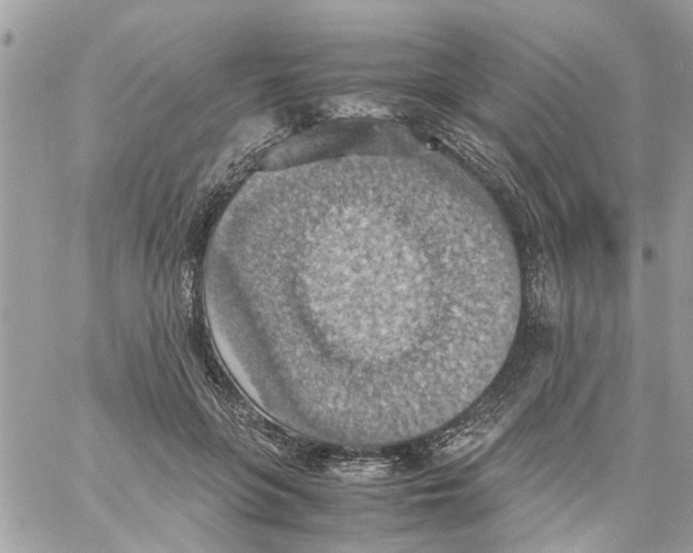 X0000058130551200510212048