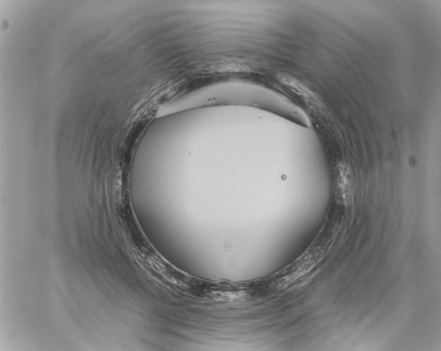 X0000058130552200510212048