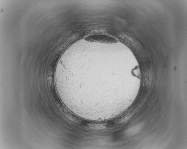 X0000058130553200510212048