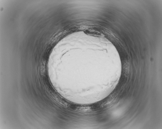 X0000058130554200510212048