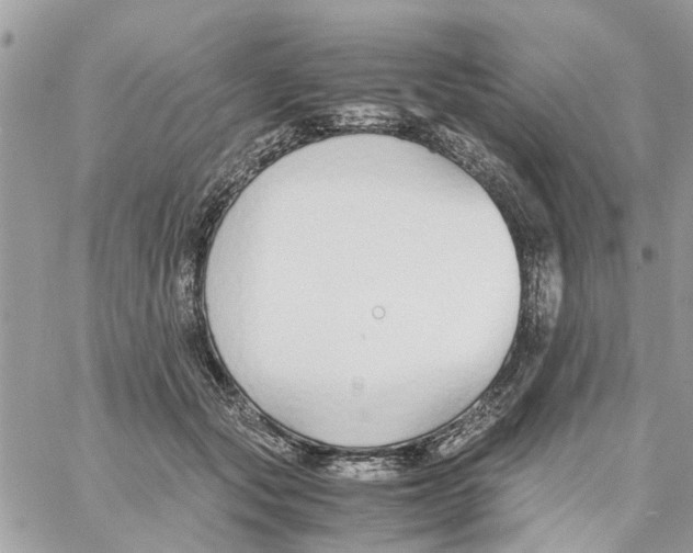 X0000058130557200510212048