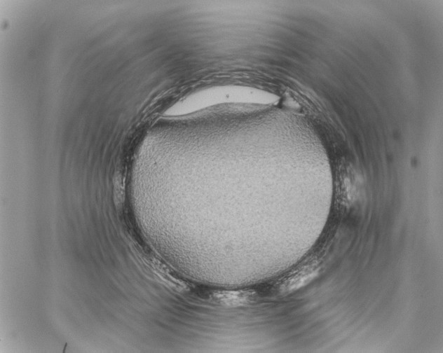 X0000058130558200510212048