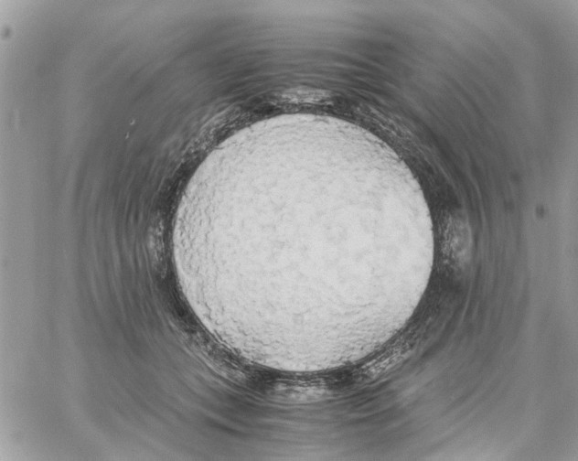 X0000058130559200510212048