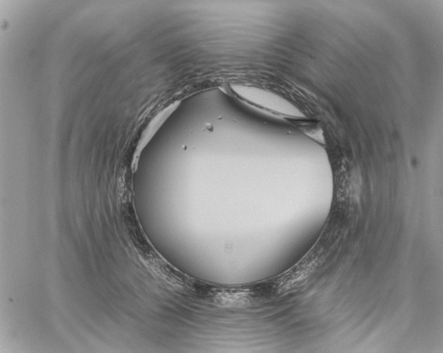 X0000058130560200510212048