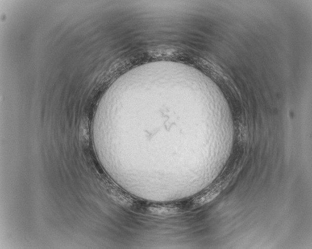 X0000058130561200510212048