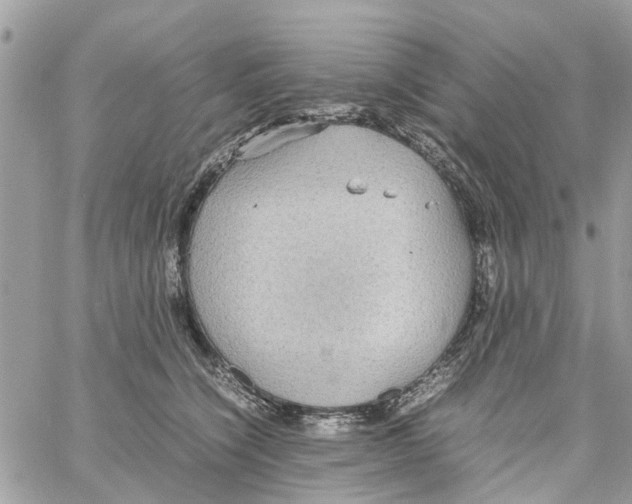 X0000058130564200510212048