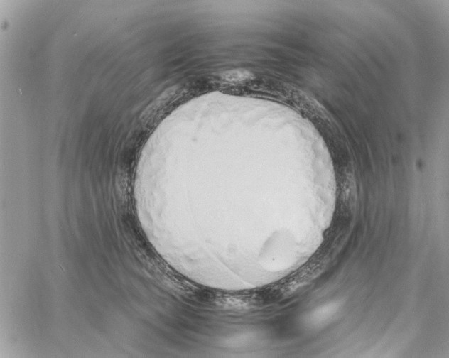 X0000058130565200510212048