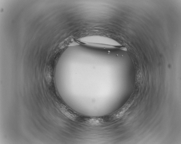 X0000058130566200510212048