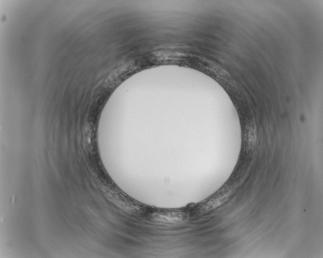 X0000058130567200510212048