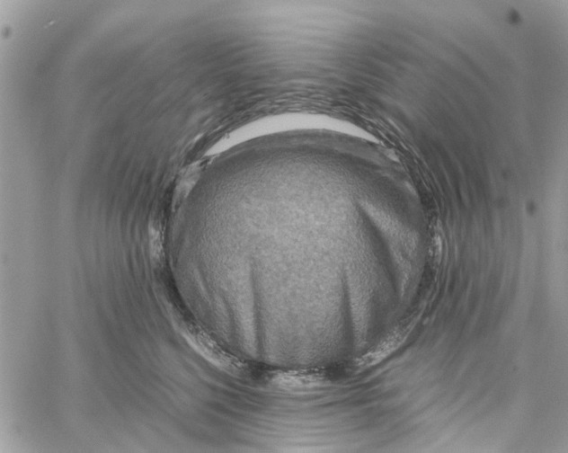 X0000058130568200510212048