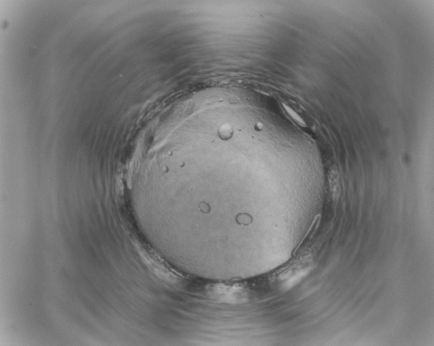 X0000058130570200510212048