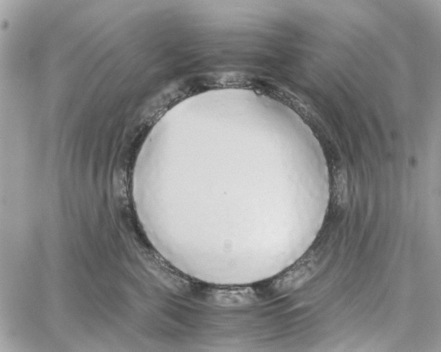 X0000058130571200510212048