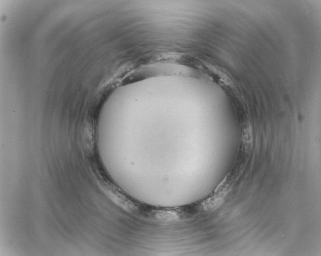 X0000058130572200510212049