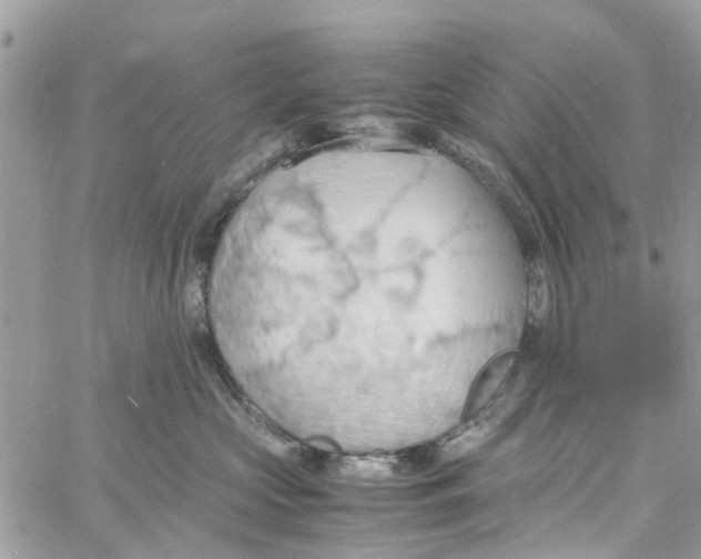 X0000058130573200510212049