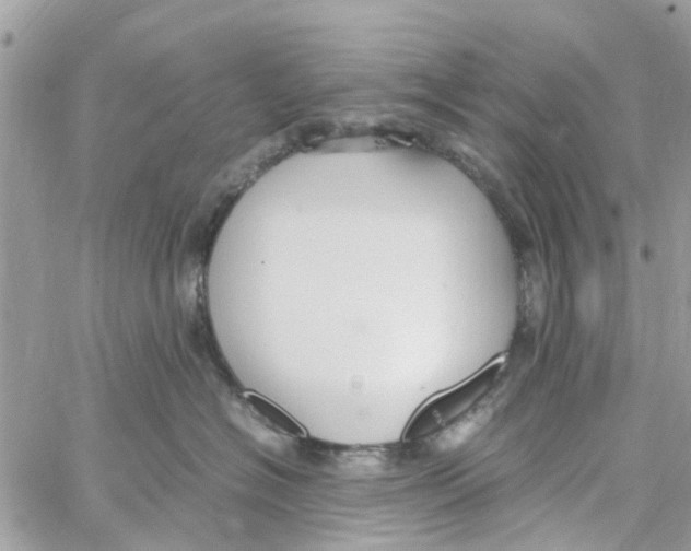 X0000058130574200510212049