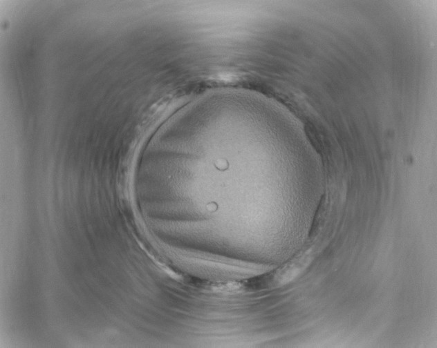 X0000058130576200510212049