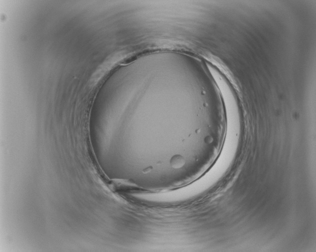 X0000058130577200510212048