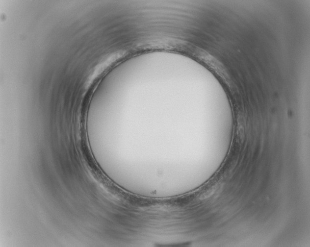 X0000058130578200510212048