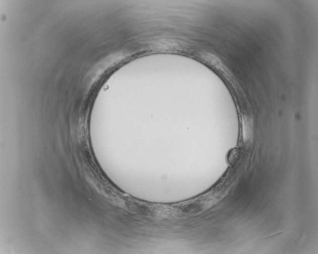 X0000058130579200510212048