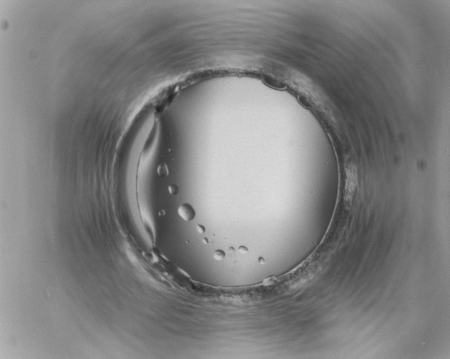 X0000058130580200510212048