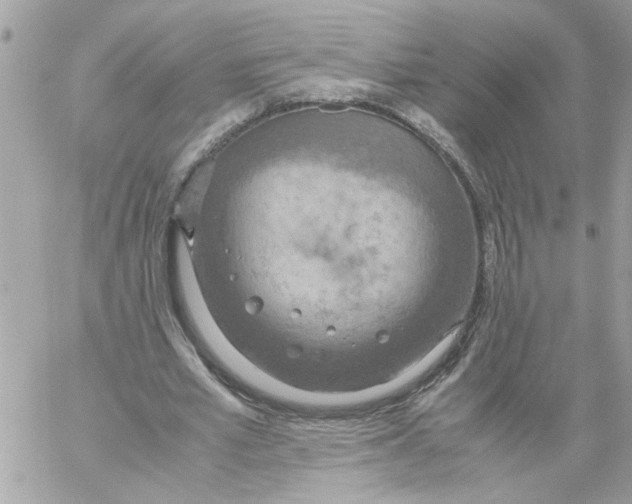 X0000058130581200510212048