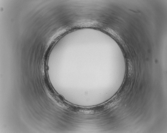 X0000058130582200510212048