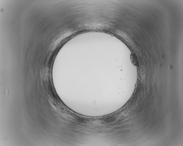 X0000058130583200510212048